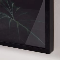 'Ama + Zonia Untitled VII' Framed Photographic Print By Fabian Albertini 62''x42'' -Chic Living Shop AmaZoniaUntitldVII62x42AV3SHF22