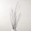 Decorative Black Birch Branches 50'' -Chic Living Shop BirchBranchesBlack50SHS23