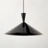 Exposior Black Pendant Light Model 018 24.75" -Chic Living Shop ExposiorCvrPendantMdl2011ROS22