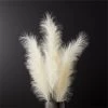 Faux Pampas Grass Ivory Stem 39" Set Of 3