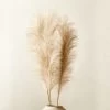 Faux Pampas Grass Taupe Stem 39" Set Of 3 -Chic Living Shop FauxPampasGrassTaupeStemS3SHF20