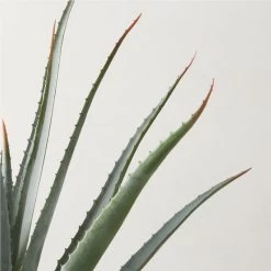 Faux Potted Aloe Vera Plant 26" 5 Faux Potted Aloe Vera Plant 26" -Chic Living Shop FauxPottedAloe24p5inAVSHS23