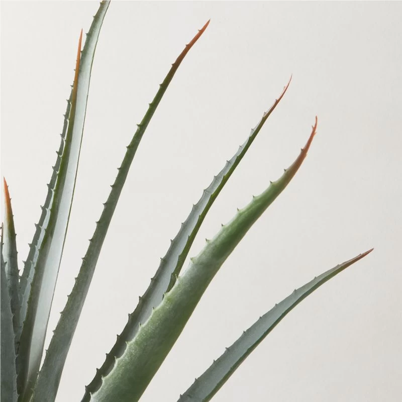 Faux Potted Aloe Vera Plant 26" 4 Faux Potted Aloe Vera Plant 26" - Image 2