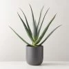 Faux Potted Aloe Vera Plant 26" 1 Faux Potted Aloe Vera Plant 26" -Chic Living Shop FauxPottedAloe24p5inSHS23