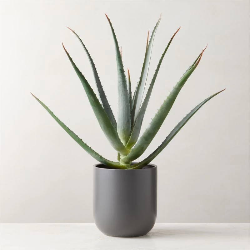 Faux Potted Aloe Vera Plant 26" 3 Faux Potted Aloe Vera Plant 26"
