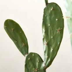 Faux Potted Cactus Plant 4'9'' -Chic Living Shop FauxPottedCactus4p9inAVSHS23
