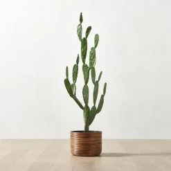 Faux Potted Cactus Plant 4'9'' -Chic Living Shop FauxPottedCactus4p9inROS23