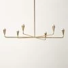Meldon Polished Brass Chandelier 1 Meldon Polished Brass Chandelier -Chic Living Shop MeldonPldBrsChandelierSHF22