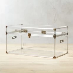 Mod Large Clear Acrylic Locker Trunk
