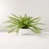 Faux Potted Fern Plant 10" 1 Faux Potted Fern Plant 10" -Chic Living Shop PottedFernPlantSHS22