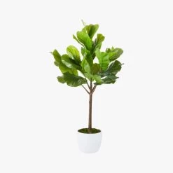 Potted Faux Fiddle Leaf Fig 5' 13 Potted Faux Fiddle Leaf Fig 5' -Chic Living Shop PottedFiddleLeafFigF17