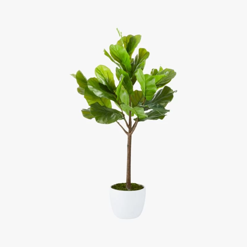 Potted Faux Fiddle Leaf Fig 5' 7 Potted Faux Fiddle Leaf Fig 5' - Image 5