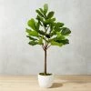 Potted Faux Fiddle Leaf Fig 5' -Chic Living Shop PottedFiddleLeafFigSHF17