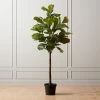 Faux Potted Fiddle Leaf Fig 7' 2 Faux Potted Fiddle Leaf Fig 7' -Chic Living Shop PottedFiddleLfFig7ftBlkPotSHS19