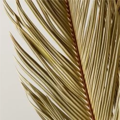 Sago Dried Palm Leaf Bunch 27"-34" -Chic Living Shop SagoPalmBundle33inAVSHF22