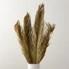 Sago Dried Palm Leaf Bunch 27"-34" -Chic Living Shop SagoPalmBundle33inSHF22