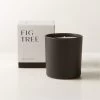 Stockhome Fig Tree Scented Candle 8oz -Chic Living Shop StockhomeFigLeafCandleSHF23